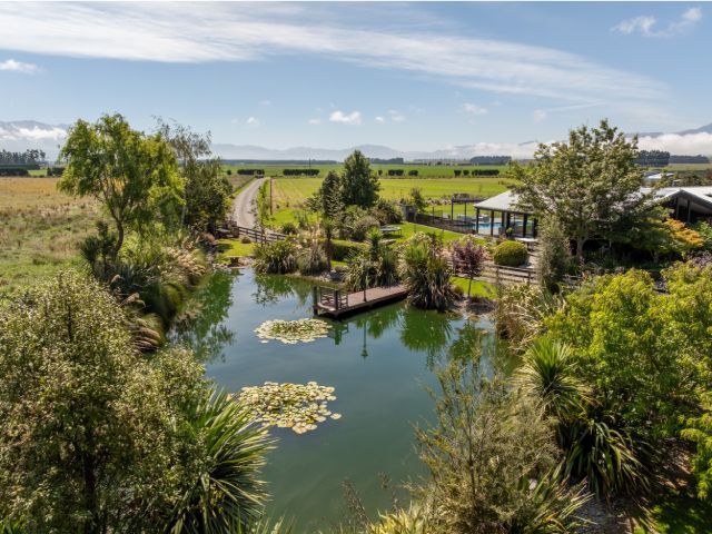 Pond