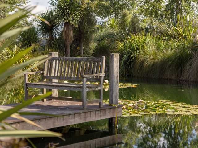 Pond